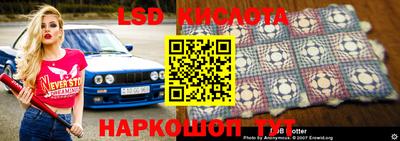 шишки Камышлов