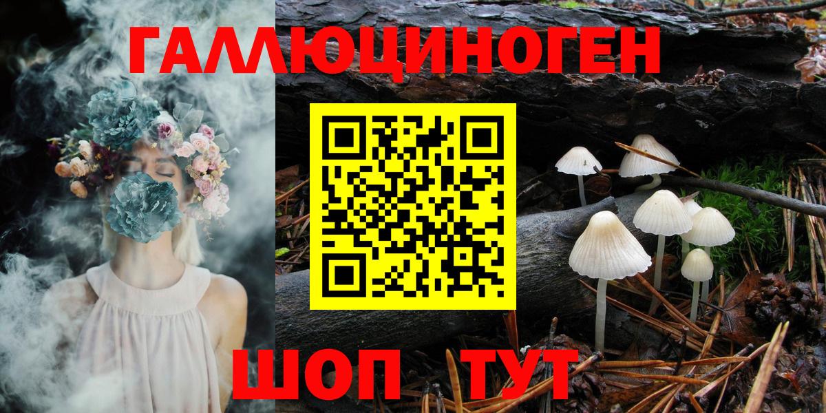 Псилоцибиновые грибы MAGIC MUSHROOMS  Кузнецк 