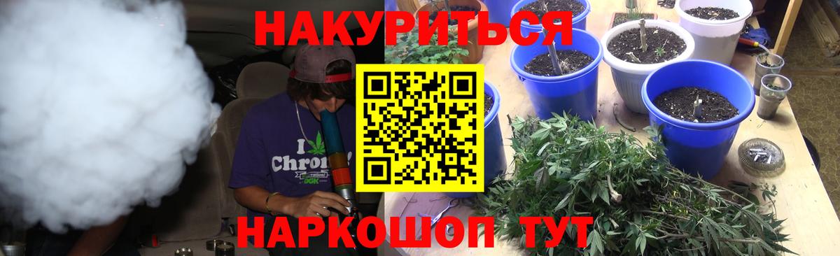 Конопля конопля Кузнецк
